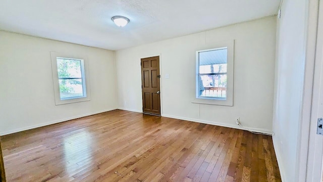 spare room featuring a wealth of natural light and wood-type flooring