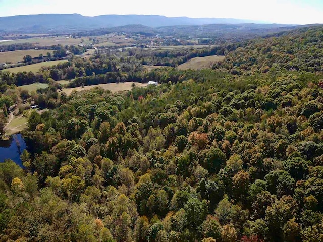 bird's eye view featuring a mountain view