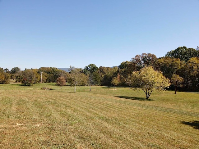 view of yard featuring a rural view