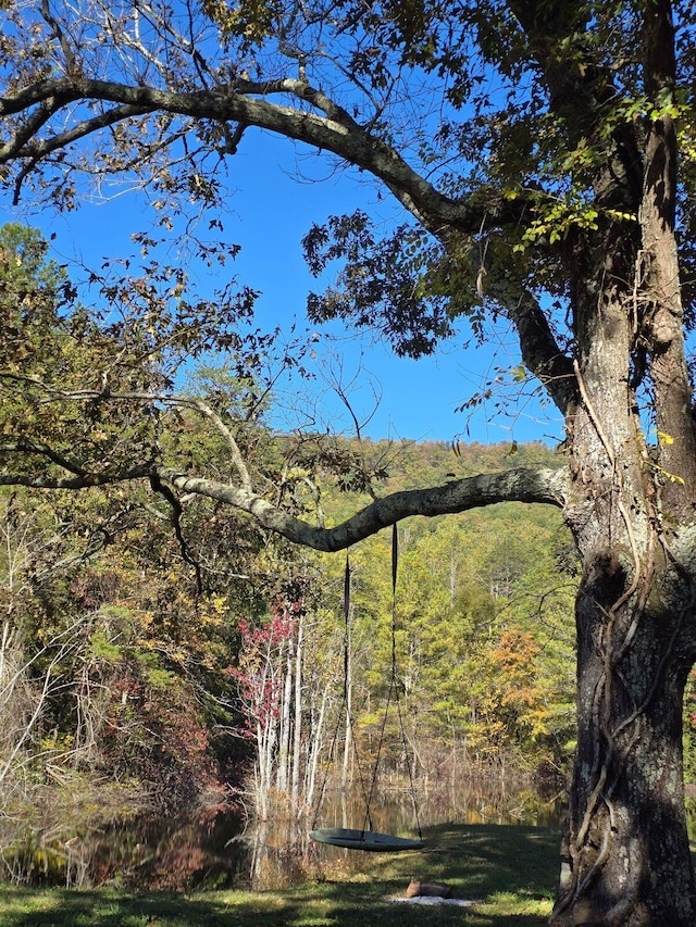 view of landscape