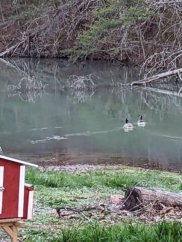 property view of water