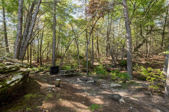 view of landscape featuring a view of trees