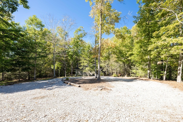 view of yard with a forest view