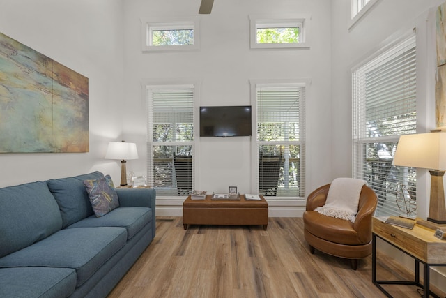 living room with a towering ceiling and light hardwood / wood-style flooring