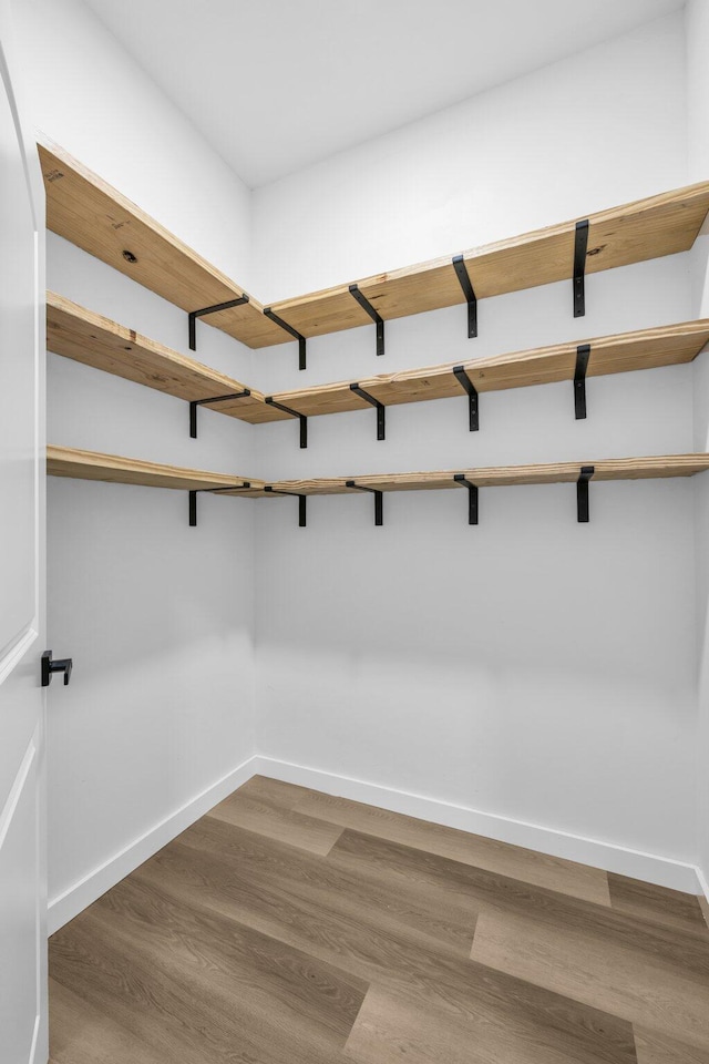 walk in closet with hardwood / wood-style floors