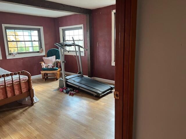 workout area featuring light hardwood / wood-style flooring and a healthy amount of sunlight