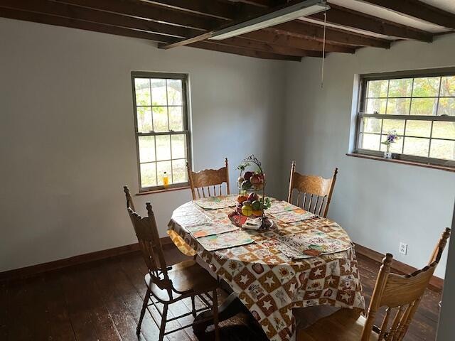 dining room with beam ceiling, a wealth of natural light, and dark hardwood / wood-style floors