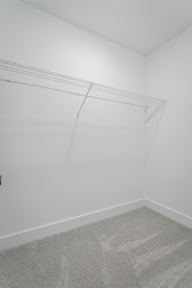 walk in closet with carpet floors