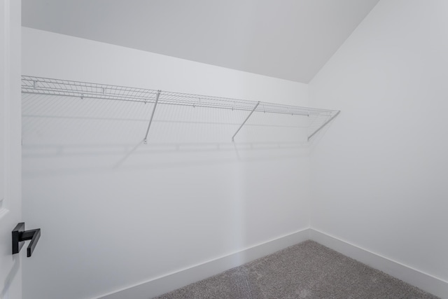 walk in closet featuring carpet floors