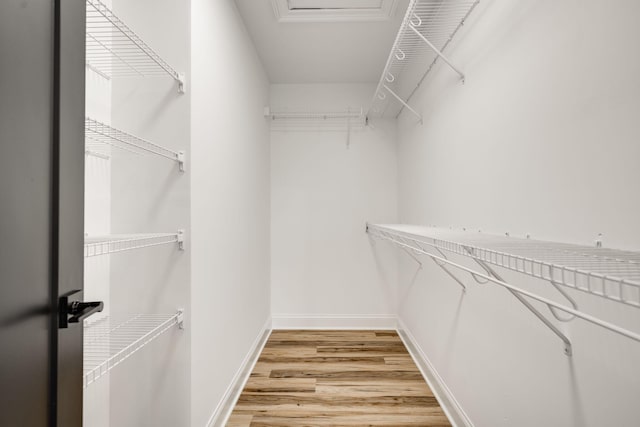 spacious closet with light hardwood / wood-style flooring