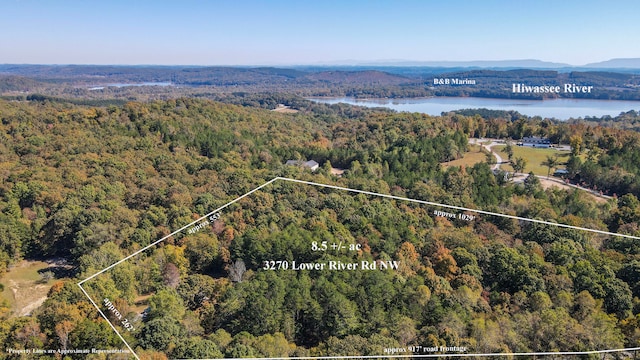 birds eye view of property featuring a water and mountain view