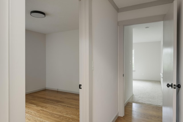 4011 Patton Edwards Dr, Chattanooga, TN 37412 - corridor featuring wood finished floors and baseboards