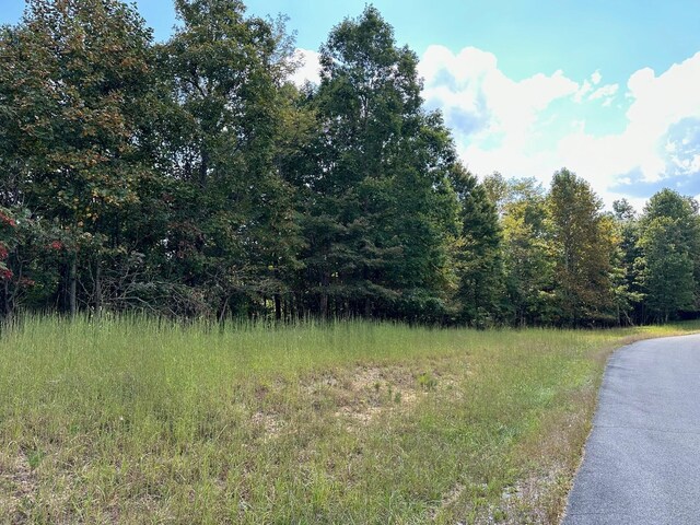 LOT77 Thunder Ridge Dr Unit 77, South Pittsburg, TN 37380 - photo 11