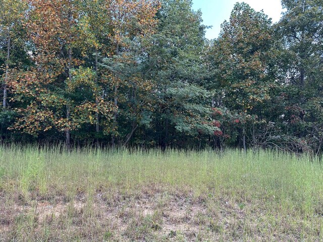 LOT77 Thunder Ridge Dr Unit 77, South Pittsburg, TN 37380 - photo 7
