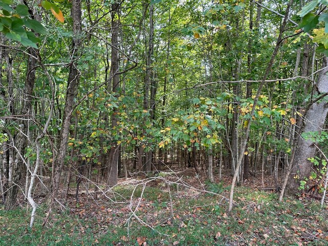 LOT77 Thunder Ridge Dr Unit 77, South Pittsburg, TN 37380 - photo 6