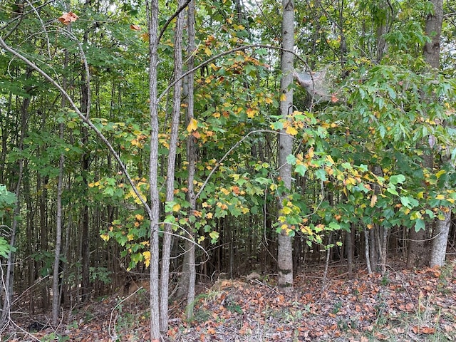 Listing photo 3 for LOT77 Thunder Ridge Dr Unit 77, South Pittsburg TN 37380