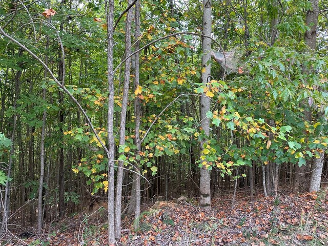 LOT77 Thunder Ridge Dr Unit 77, South Pittsburg, TN 37380 - photo 5