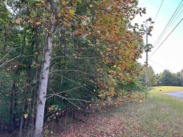 LOT77 Thunder Ridge Dr Unit 77, South Pittsburg, TN 37380 - photo 8