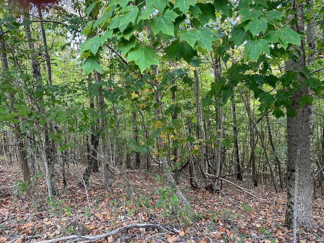 LOT77 Thunder Ridge Dr Unit 77, South Pittsburg TN, 37380 land for sale