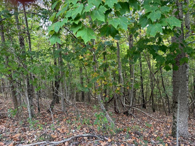 LOT77 Thunder Ridge Dr Unit 77, South Pittsburg, TN 37380 - photo 3