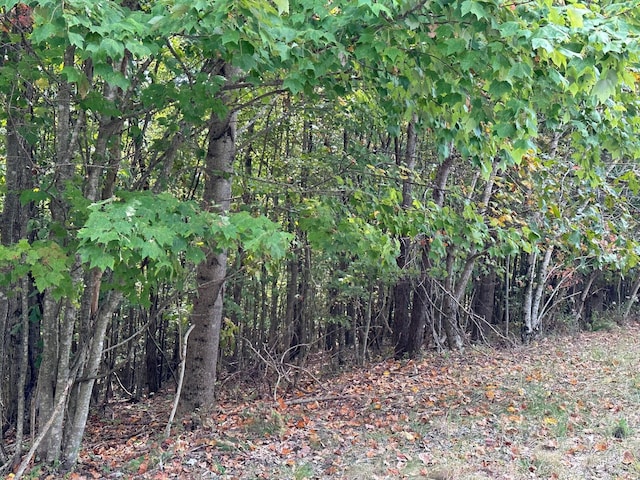 Listing photo 2 for LOT77 Thunder Ridge Dr Unit 77, South Pittsburg TN 37380