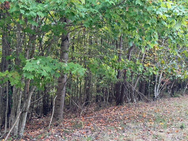 LOT77 Thunder Ridge Dr Unit 77, South Pittsburg, TN 37380 - photo 4