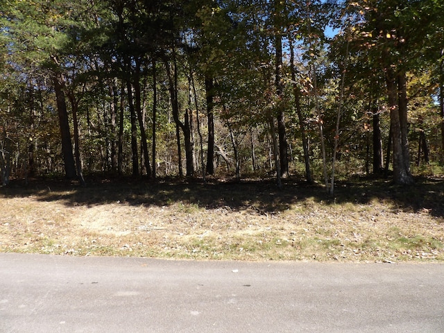 Listing photo 3 for 000 Fernhill Rd, Pikeville TN 37367