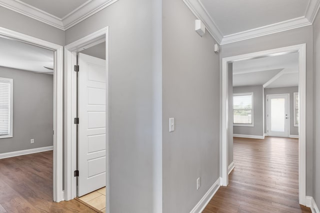 hall featuring crown molding and light hardwood / wood-style flooring