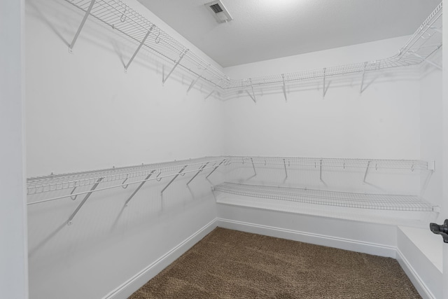 spacious closet with carpet floors