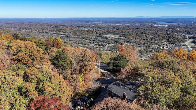 bird's eye view featuring a mountain view