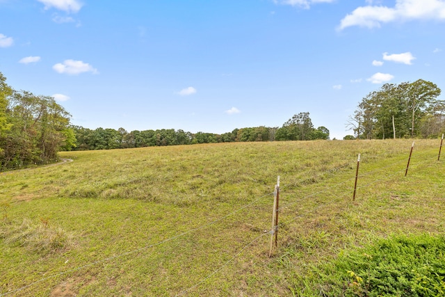 view of yard with a rural view