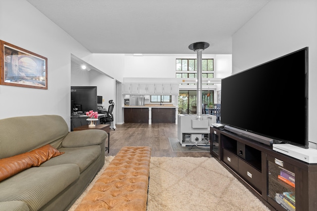 living room featuring hardwood / wood-style flooring