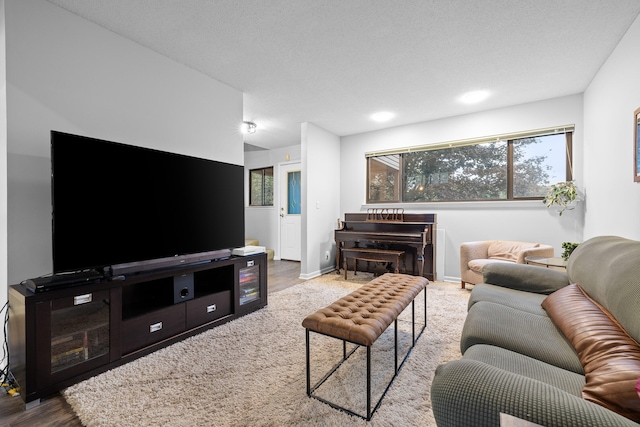 living room featuring a textured ceiling and light wood-type flooring