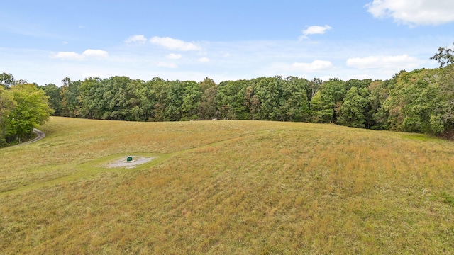 view of local wilderness