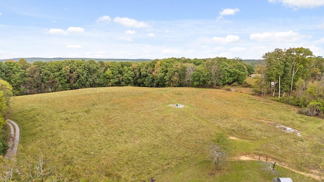 bird's eye view with a rural view