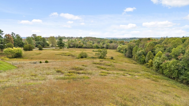 view of local wilderness featuring a rural view