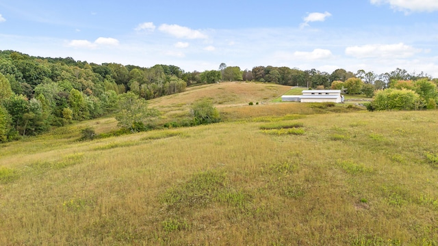 view of yard with a rural view