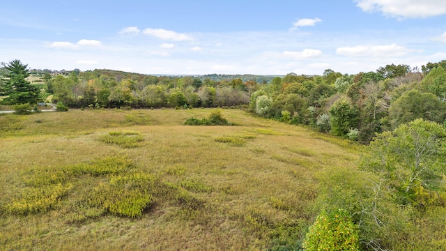 view of local wilderness