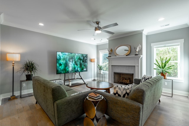 living room with ornamental molding, light wood-type flooring, and ceiling fan