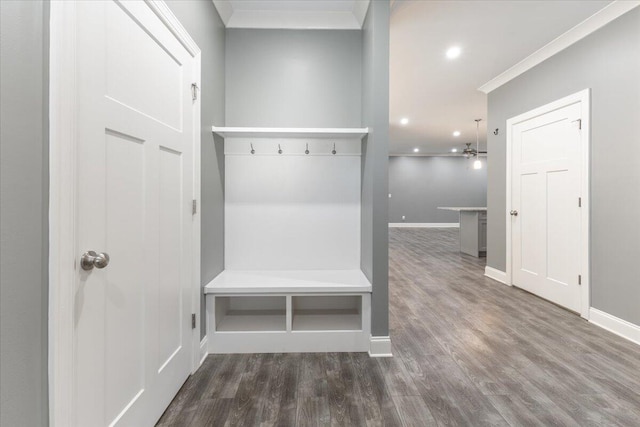 mudroom featuring crown molding and dark hardwood / wood-style flooring