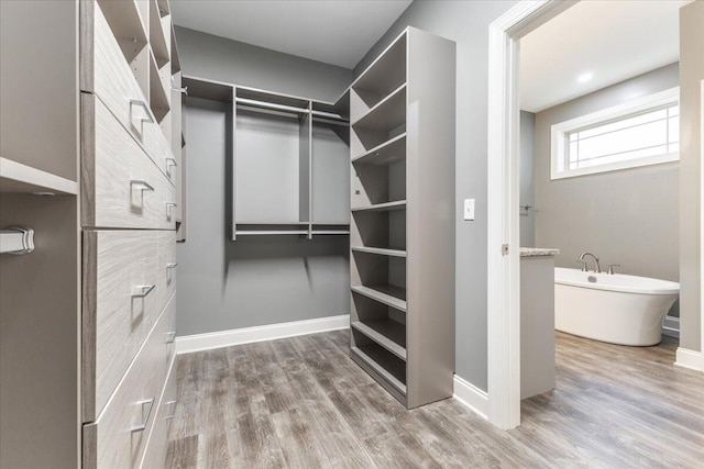 walk in closet with hardwood / wood-style floors