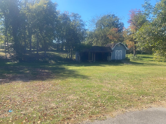 view of yard with a storage unit