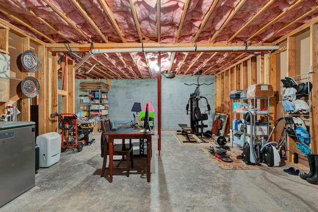 basement with stainless steel fridge