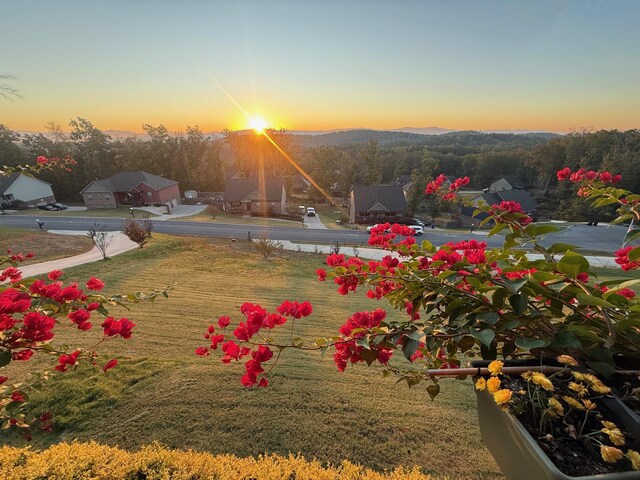 129 Timber Top Xing SE, Cleveland, TN 37323 - photo 7
