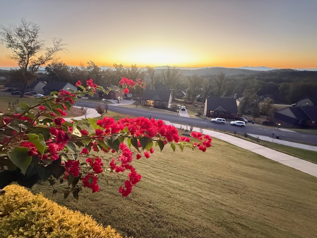 yard at dusk with a mountain view