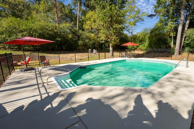 view of pool with a patio area