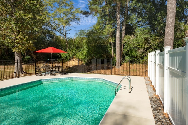 view of swimming pool featuring a patio area