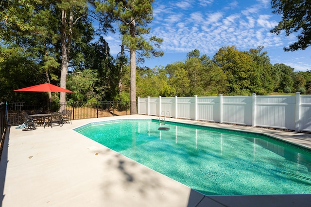 view of pool with a patio