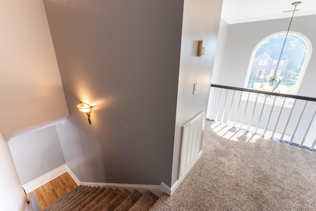 staircase featuring a notable chandelier, ornamental molding, and carpet flooring