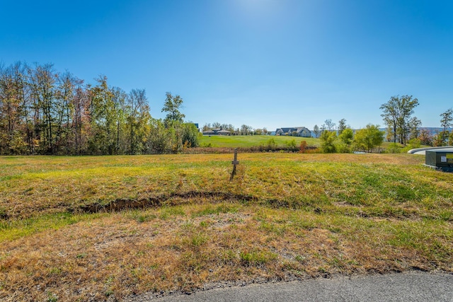 0 Jasper Springs Dr Unit Jh185, Jasper, TN 37347 - photo 5